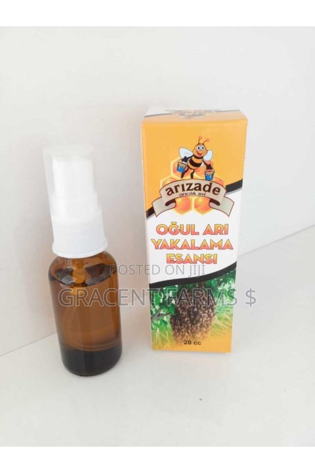 Bee Swarm Commander Spray (Lemon Grass Oil) · Photo 3