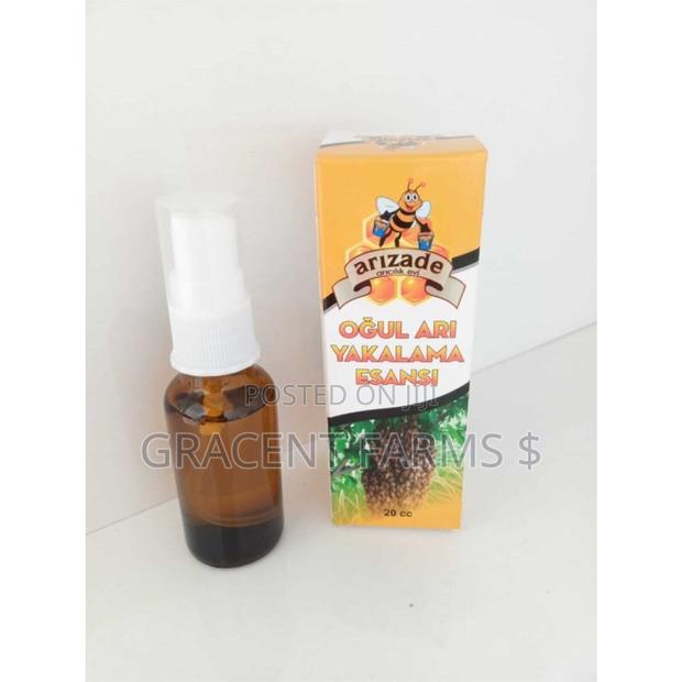 Bee Swarm Commander Spray (Lemon Grass Oil) · Photo 4