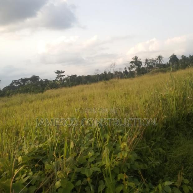 Farmland for Sale · Photo 4