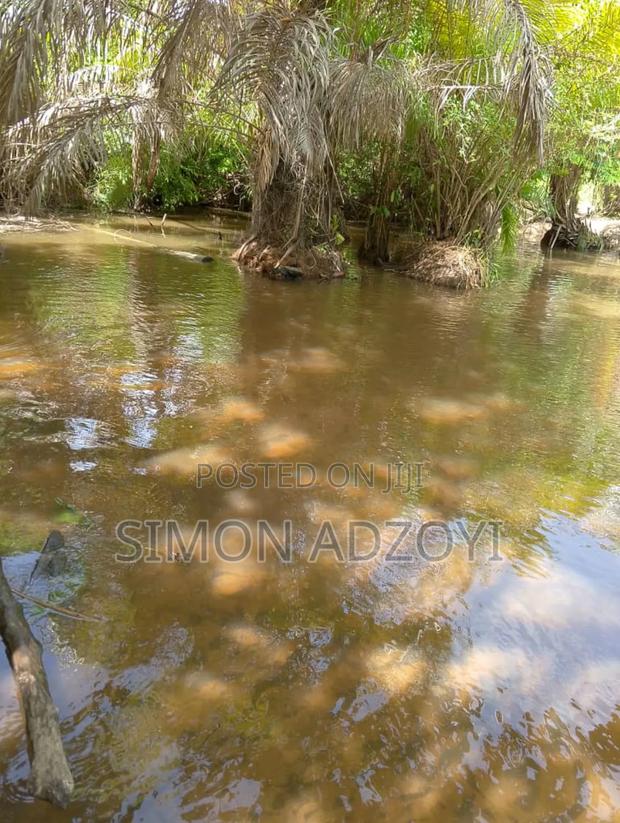 5000 Acres of Farm Land for Long Term Lease