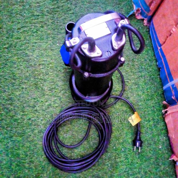Water Pump LEO Submersible Sewage Pumps Quality Supply Best · Photo 2