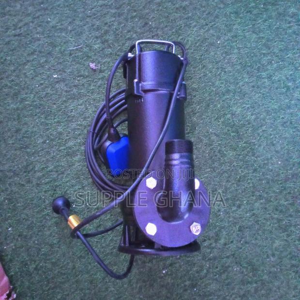 220v/50hz LEO Submersible Sewage Pumps Stainless Steel Fast · Photo 2