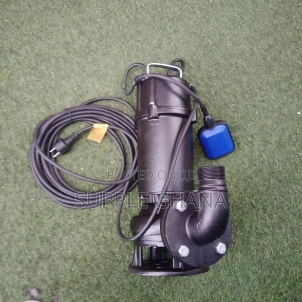 LEO 220v/50hz Submersible Sewage Pumps Quality Supply Better · Photo 2