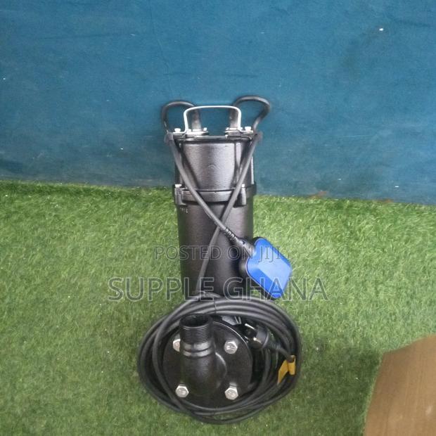 50WQD8 _16_1.1F LEO Submersible Sewage Pumps 7.2hp Original · Photo 2