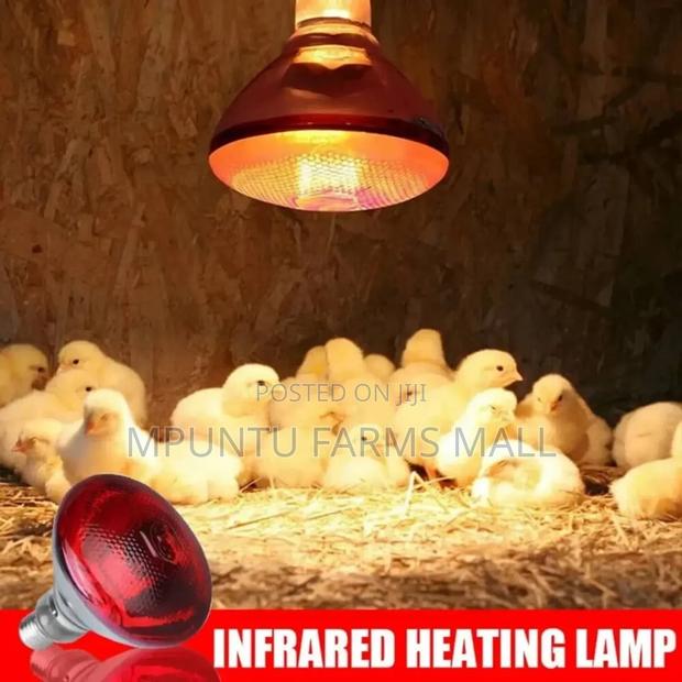 Infrared Heat Bulb photo 2