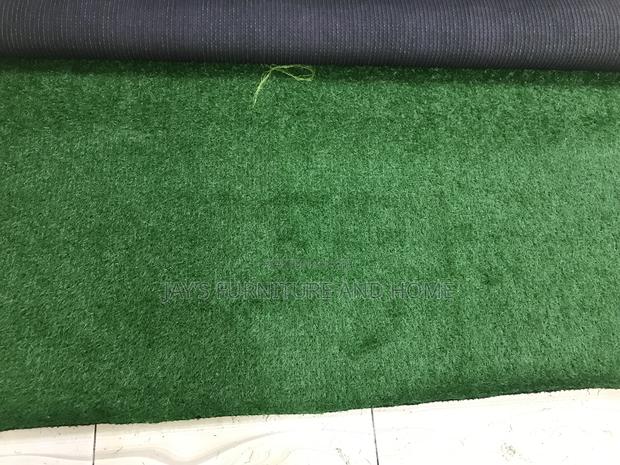 Carpet Grass photo 3