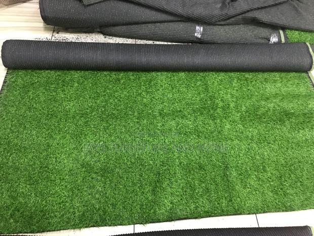 Carpet Grass photo 2