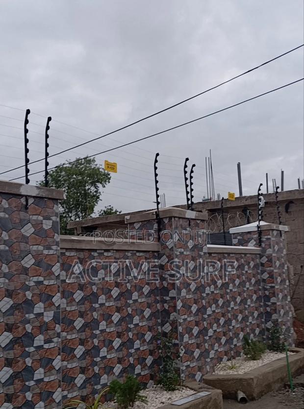 Maximum Security Electric Perimeter Fencing With Razor photo 6