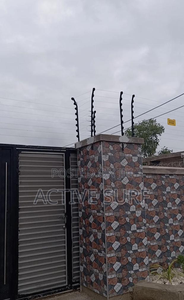 Maximum Security Electric Perimeter Fencing With Razor photo 7