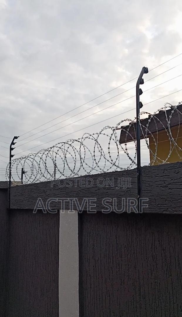 Maximum Security Electric Perimeter Fencing With Razor photo 2
