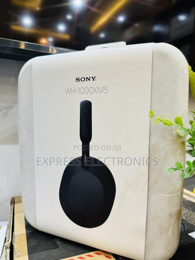 Very Cool SONY WH-1000XM5 Headset · Photo 2