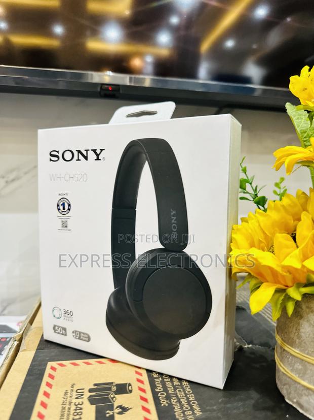 High Performance Headset Sony WH-CH520 · Photo 2