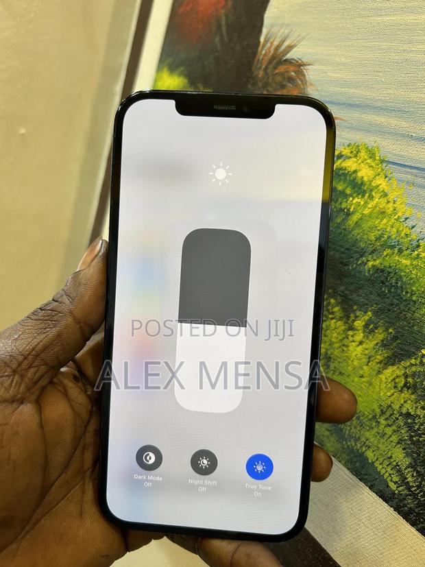 Apple iPhone 12 Pro Max 256 GB Blue