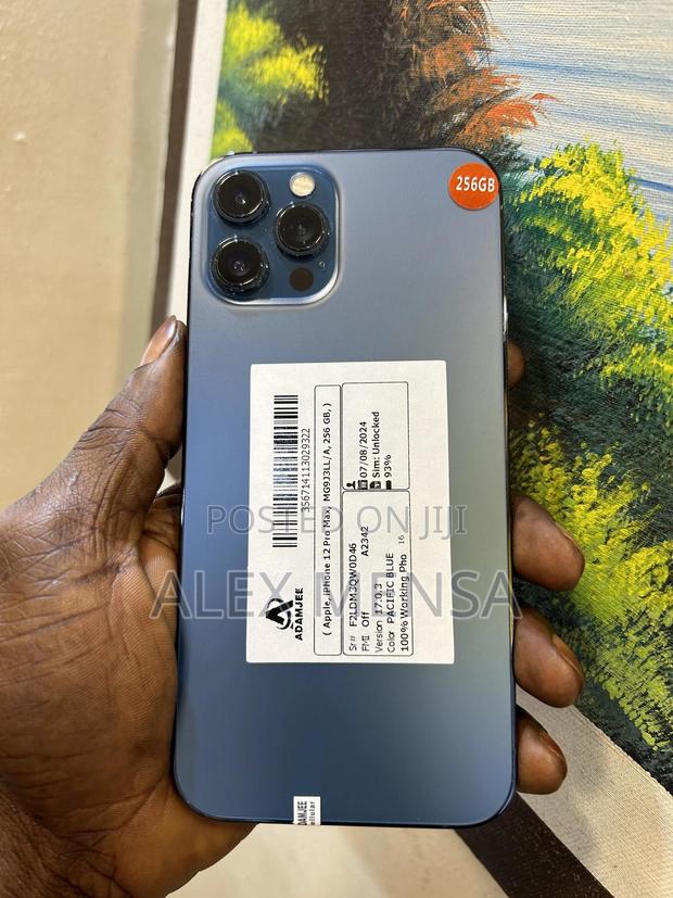 Apple iPhone 12 Pro Max 256 GB Blue