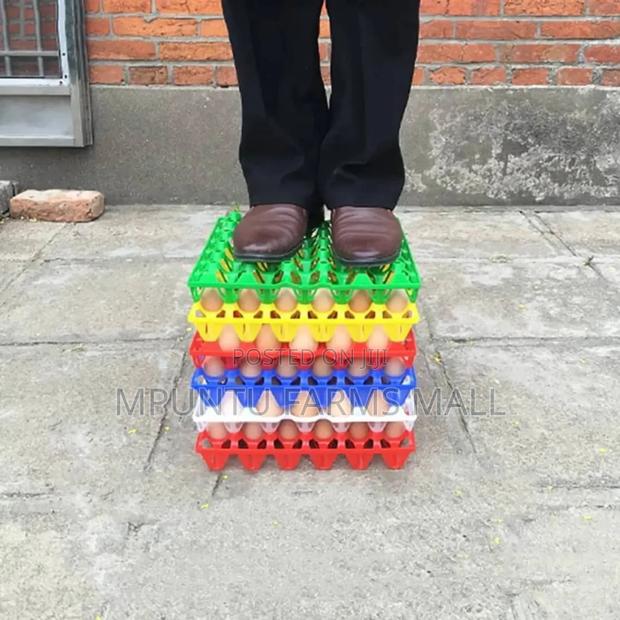 Colourful Plastic Egg Crate photo 2