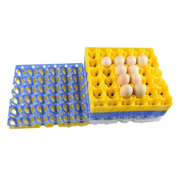 Colourful Plastic Egg Crate photo 3