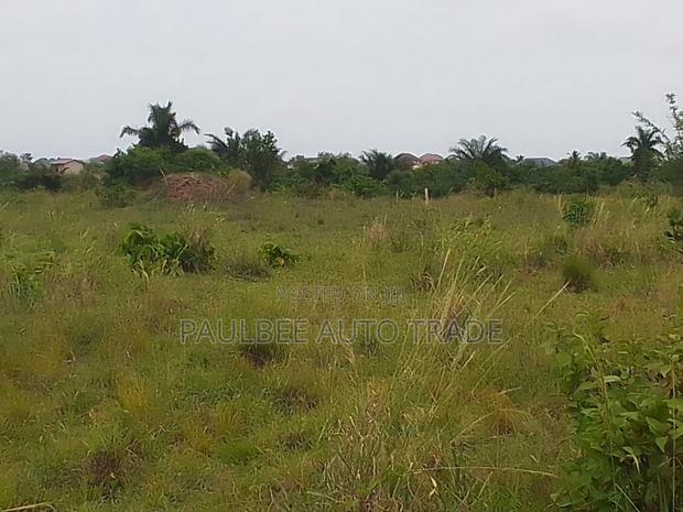 Land for Mining Gold and Diamond for Rent · Photo 2