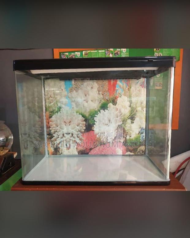 Aquarium Glass Tank