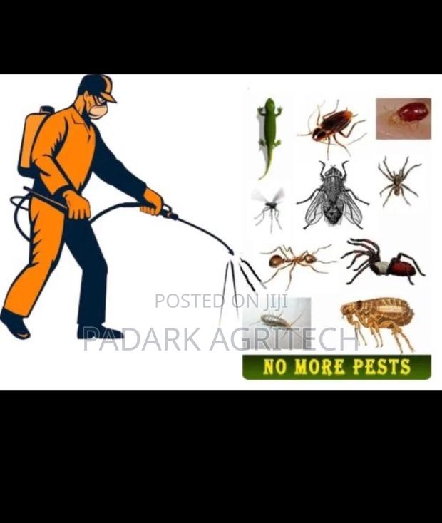 Pest Control Services · Photo 2