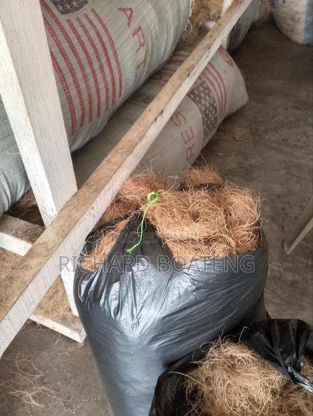 Coconut Fiber