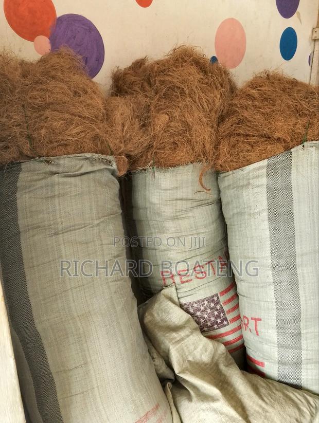Coconut Fiber photo 3