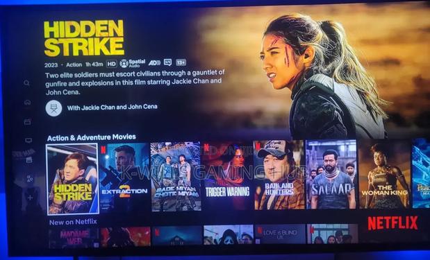 Netflix Account (All Kinds Of Video Streaming Account) photo 2