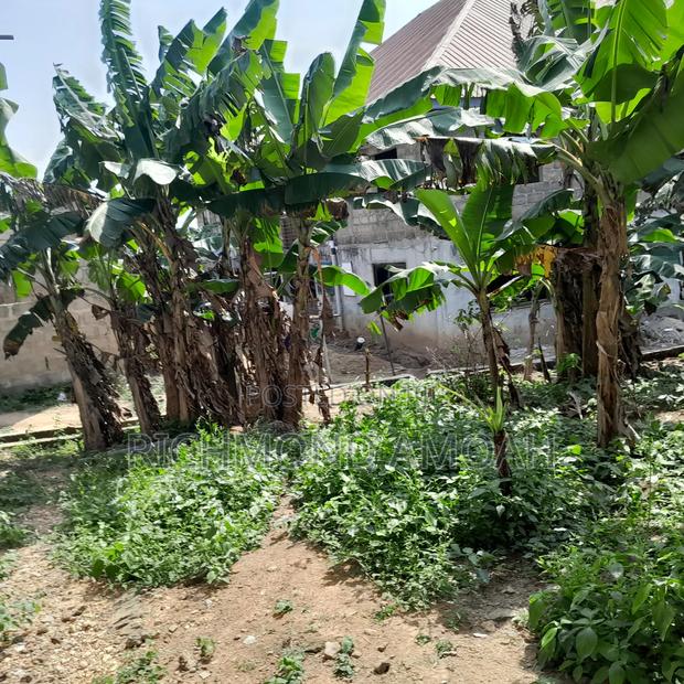 Plot for Sale at Kansa City · Photo 3