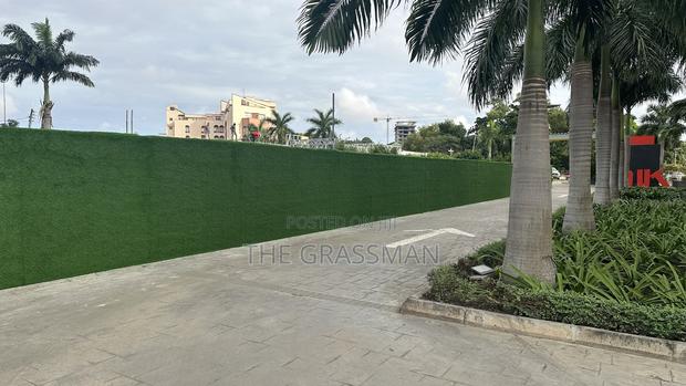 Grass for Walls for Estates, Residential, Hotels photo 3