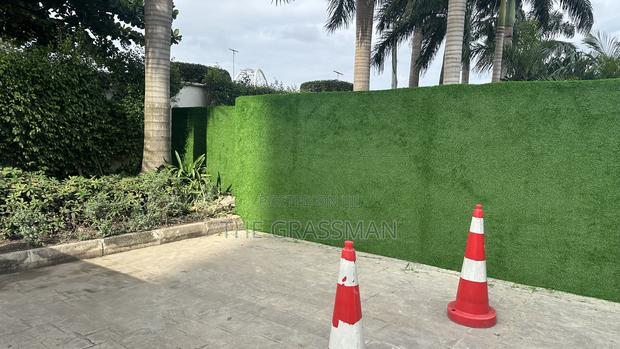 Grass for Walls for Estates, Residential, Hotels photo 2