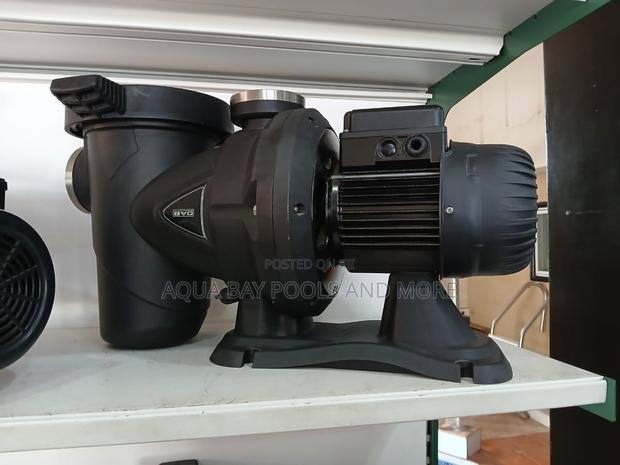 1.5hp Dab Swimming Pool Pump