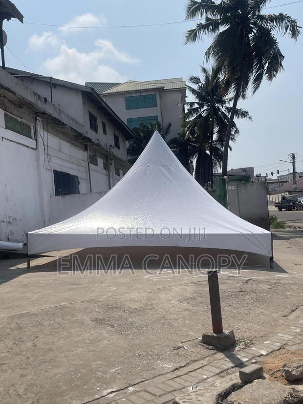20 X 20 Canopy photo 3