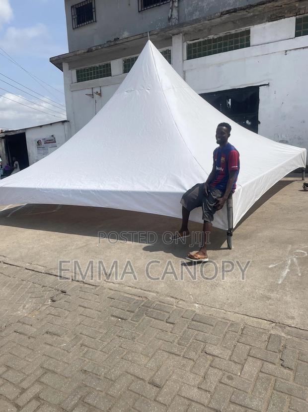 20 X 20 Canopy photo 2