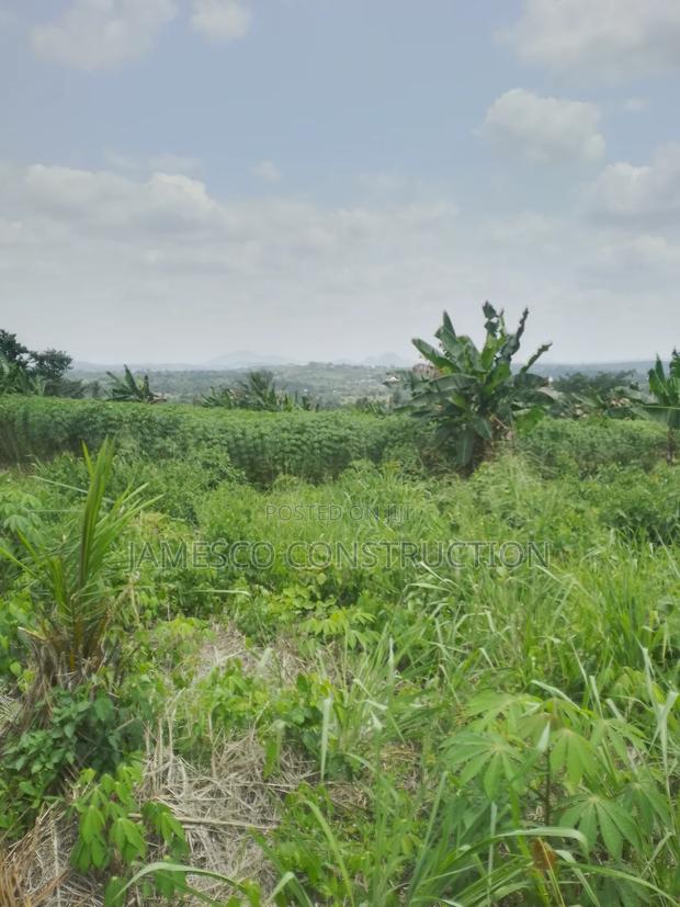 Registered 20 Acres of Farmland for Sale at Asuboi Otumfo · Photo 4
