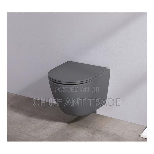 Wall Hung Wc. Concealed Toilet Seat. Wall · Photo 4