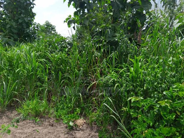 10.000+ Acres of Farm Land for Long Term Lease