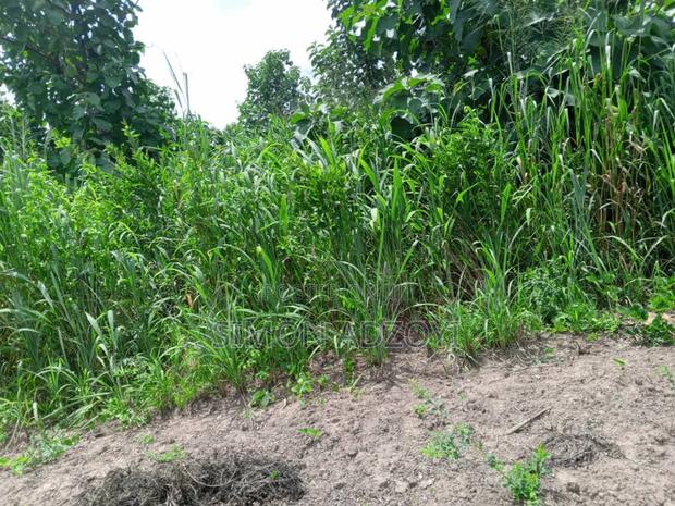 10.000+ Acres of Farm Land for Long Term Lease