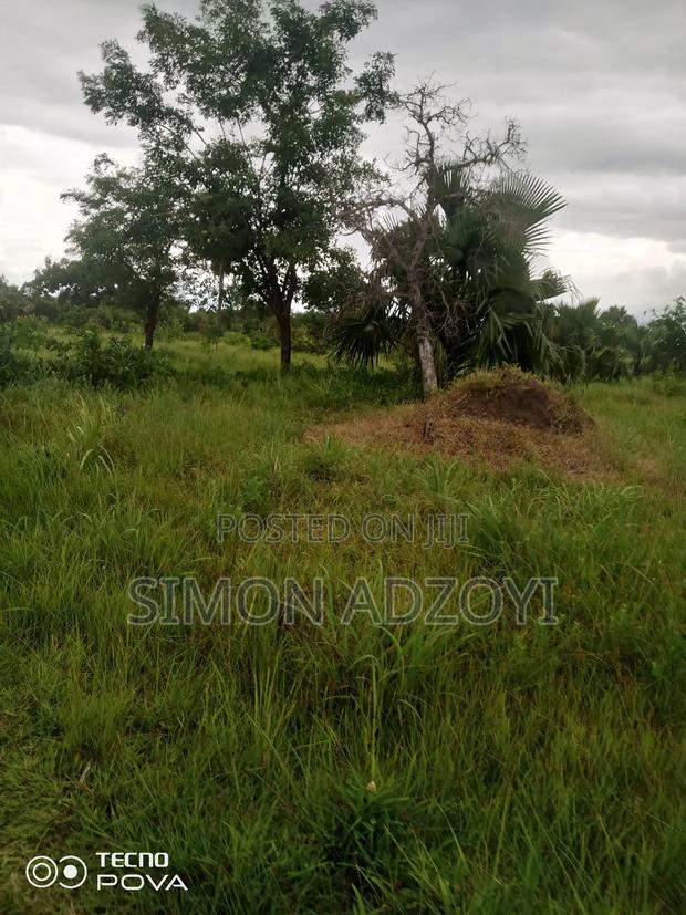 3000 Acres of Farm Land