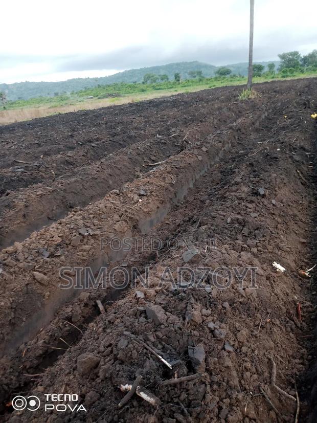 Farm Land For Sale · Photo 4