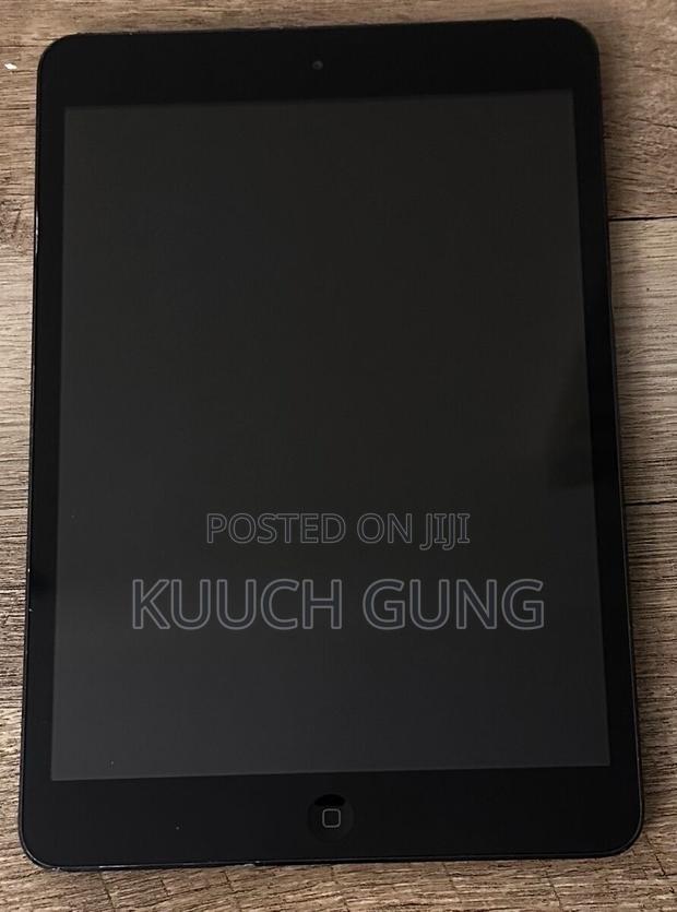 Apple iPad mini Wi-Fi 16 GB Gray