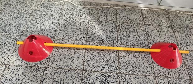 Agility Pole and Cones