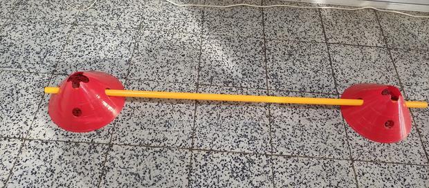 Agility Pole and Cones