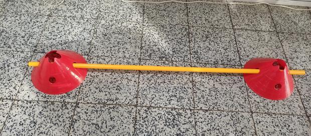 Agility Pole and Cones