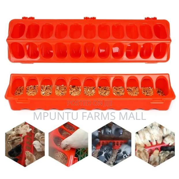 Flip Top Chick Feeder