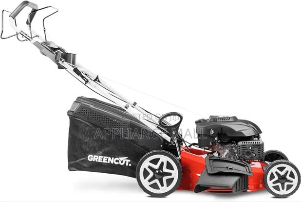 Mower Self-Propelled Powerful 7.5hp Petrol photo 2