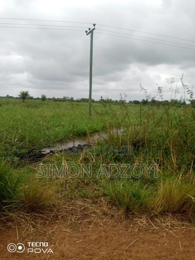 5000+ Acres of Rice Farming Land for Long Term Lease