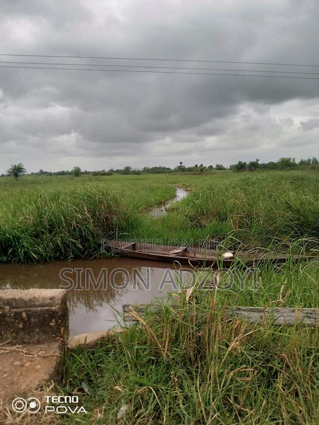 5000+ Acres of Rice Farming Land for Long Term Lease