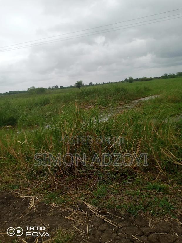 5000+ Acres of Rice Farming Land for Long Term Lease