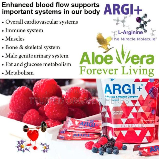 Cardiovascular Health/Blood Circulation Within Your Vessel · Photo 4