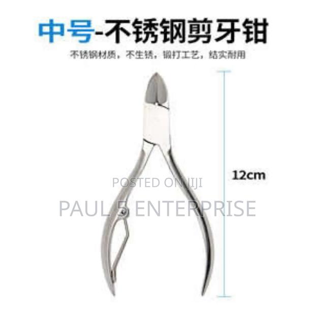 Pig Teeth Cutters or Clippers High Quality · Photo 4