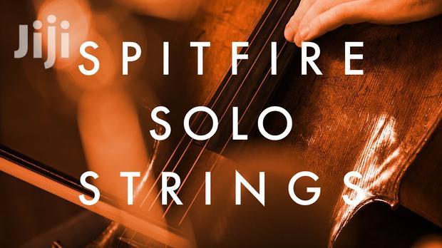 Spitfire Solo Violin (KONTAKT) For Beat Makers · Photo 4